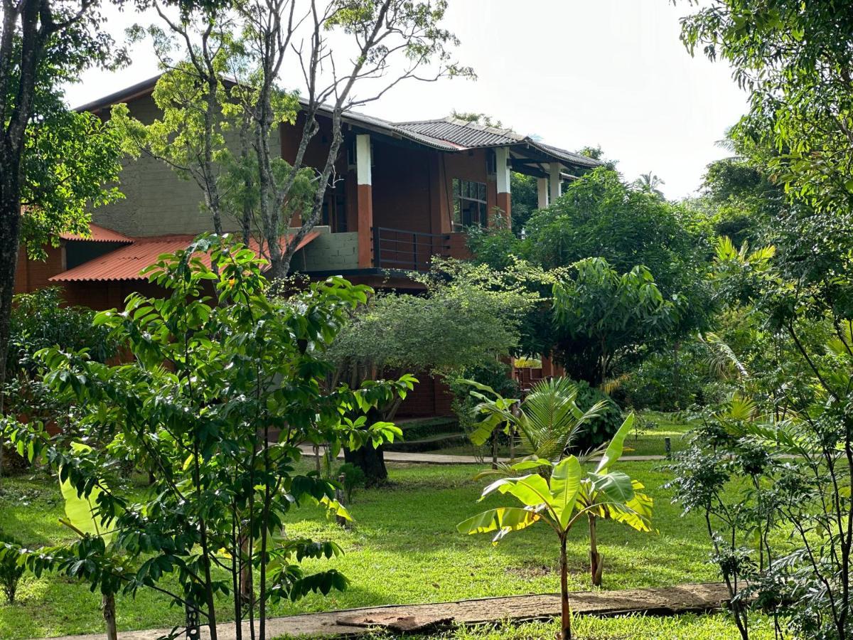 Sigiriya Cottage Exterior photo