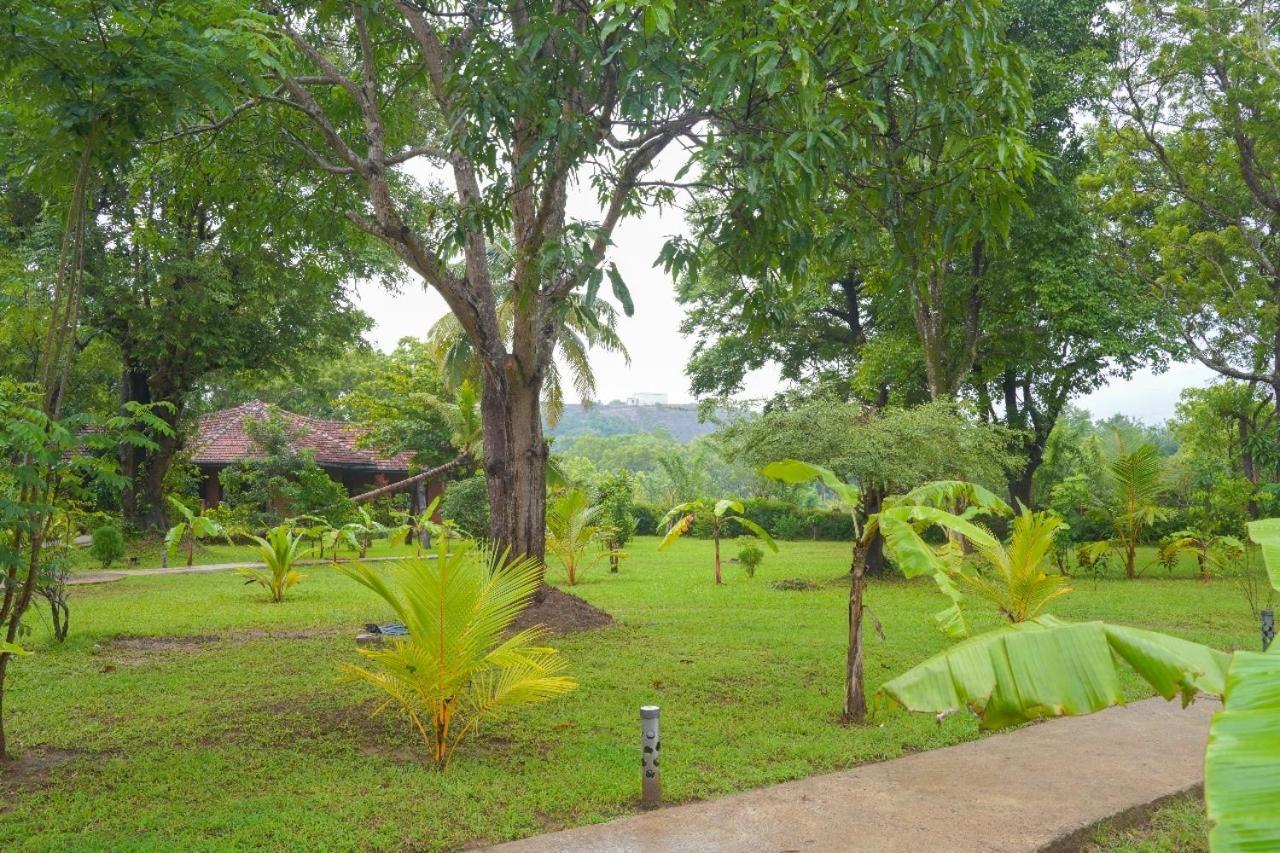 Sigiriya Cottage Exterior photo