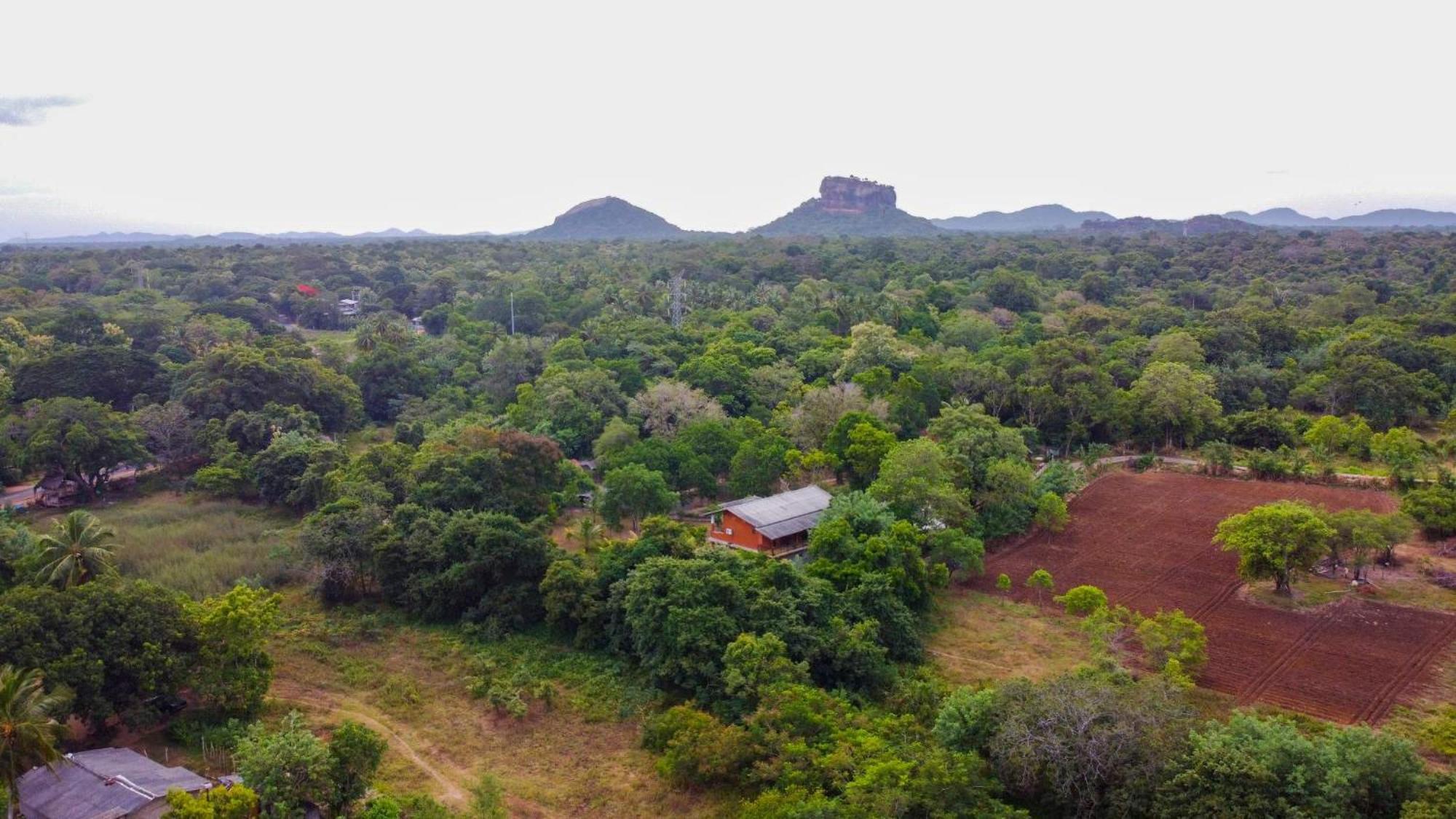 Sigiriya Cottage Exterior photo